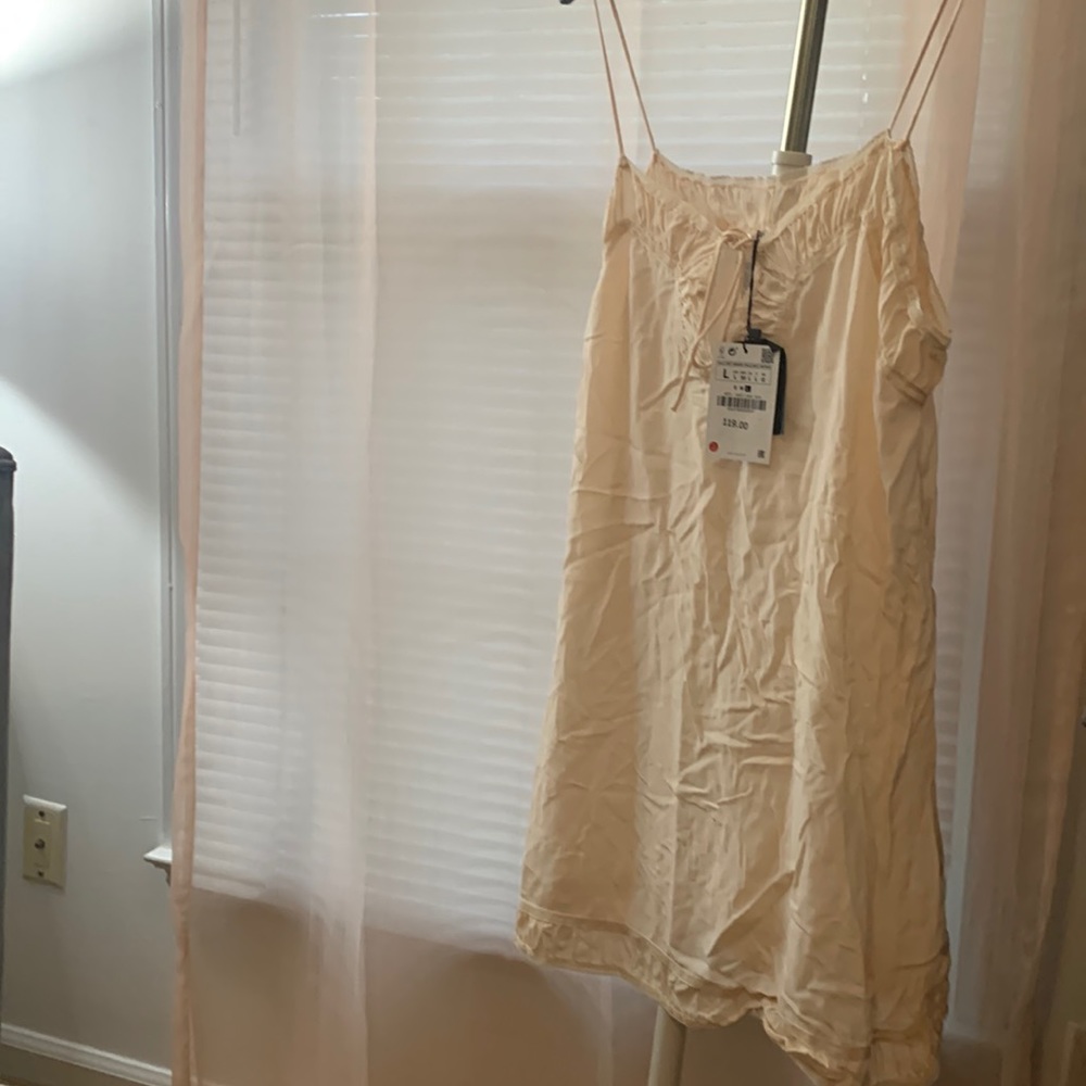 Gorgeous mulberry silk Zara chemise. Never been worn and tags attached.